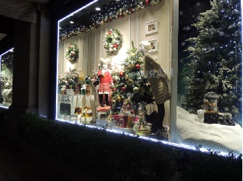 20131111-2.jpg