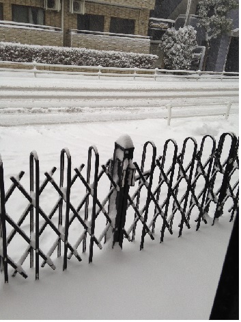 20140218.jpg