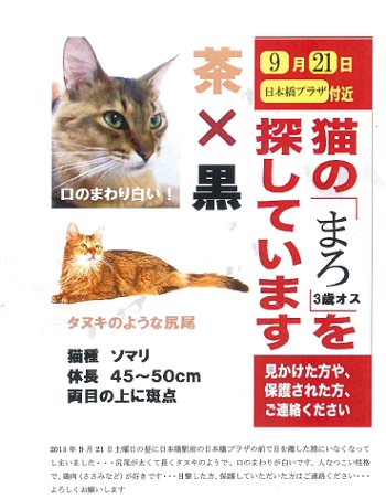 neko.jpg